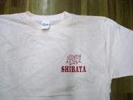 新発田Tシャツ